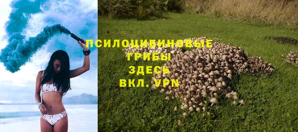 Альфа ПВП Белокуриха
