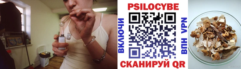 Галлюциногенные грибы Magic Shrooms  OMG сайт  Кодинск 